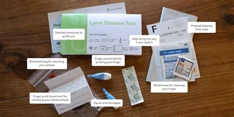 alere lyme test kit elisa|lyme disease test interpretation.